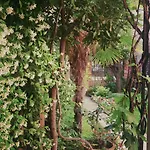 3749 Pontechiodo Bed & Breakfast